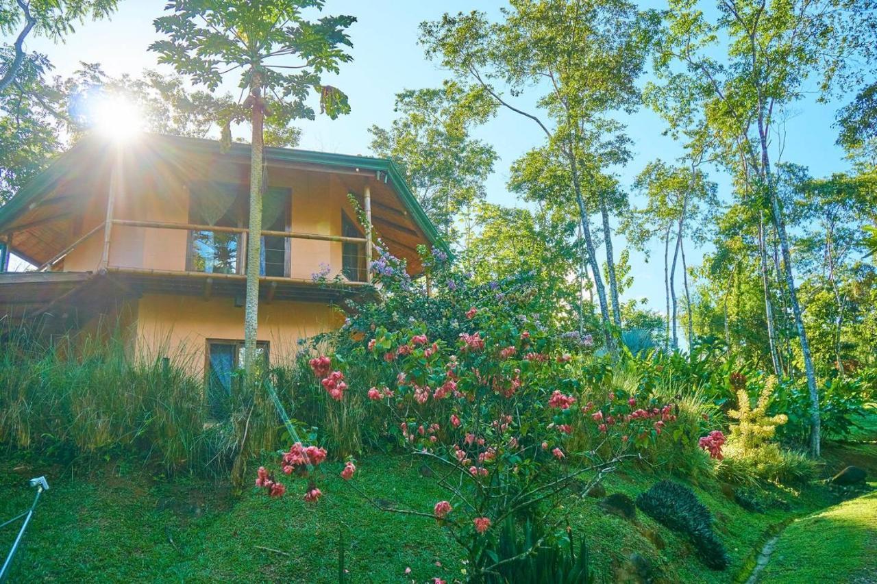 Manoas Acomodação com café da manhã Uvita Exterior foto