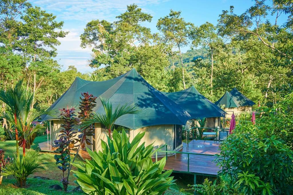 Manoas Acomodação com café da manhã Uvita Exterior foto