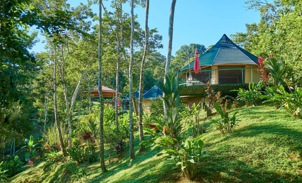 Manoas Acomodação com café da manhã Uvita Exterior foto