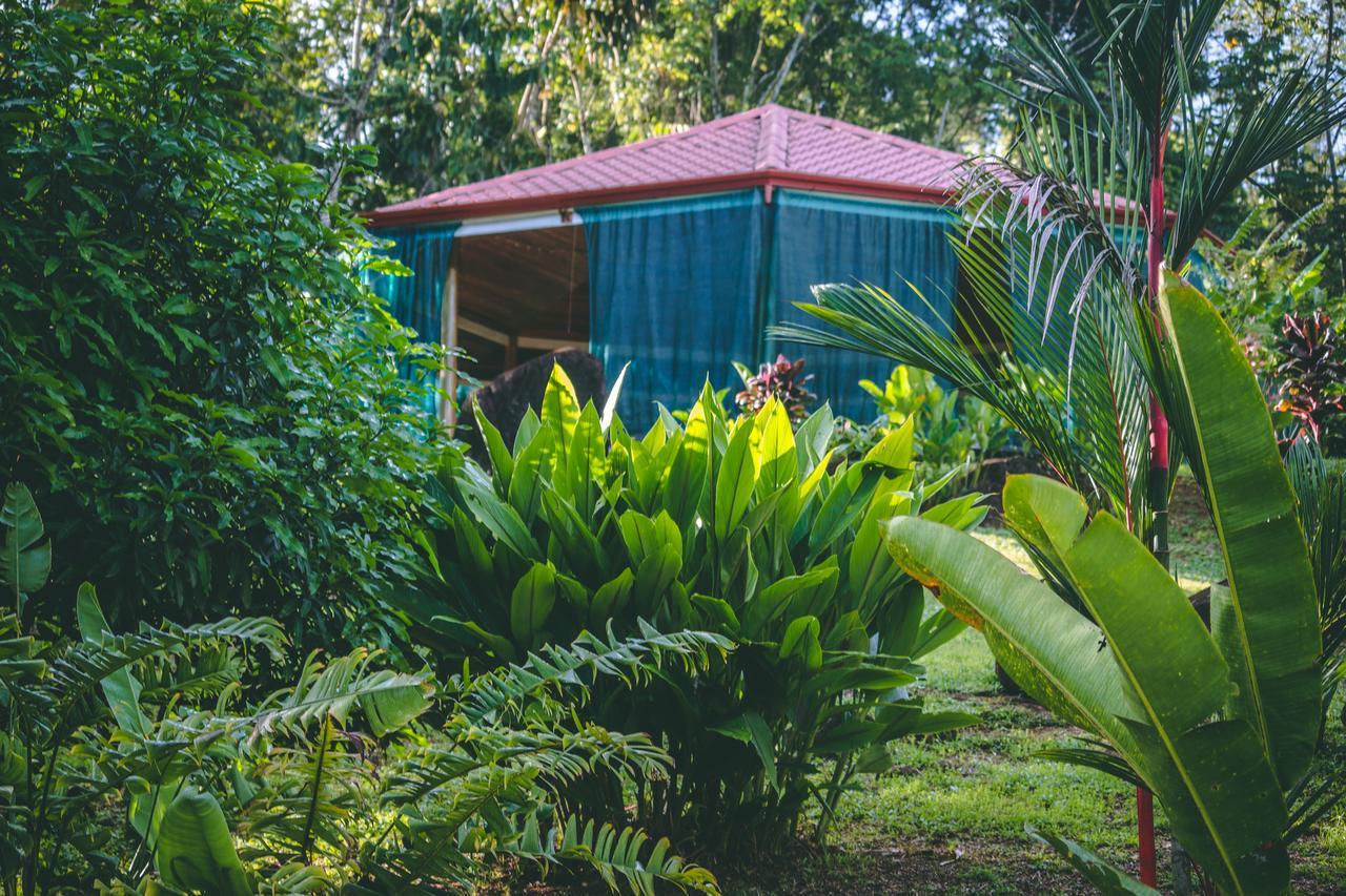 Manoas Acomodação com café da manhã Uvita Exterior foto