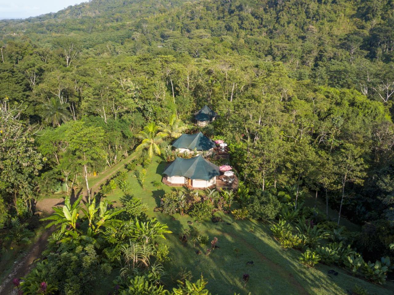 Manoas Acomodação com café da manhã Uvita Exterior foto