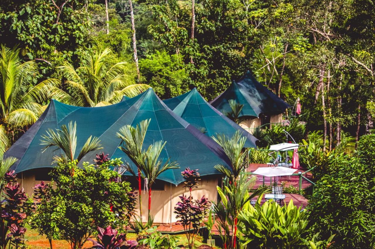 Manoas Acomodação com café da manhã Uvita Exterior foto